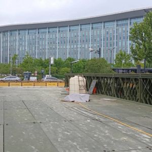 China Customized Truss Bridge Portable Steel Bridges High Versatility on sale