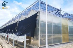 China 8m 9.6m 12m Span Width Hydroponic Greenhouse Hot Galvanized Steel Pipe Greenhouse factory
