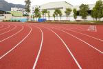 Iaaf Prefabricated Jogging Track Material Synthetic Rubber Running Track