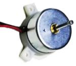 5W Small DC Electric Motor Small Brushless Motor 4500RPM Electric Tool