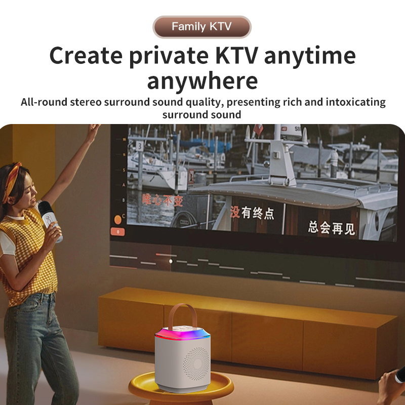 Outdoor DJ Party Karaoke Speaker With Wireless Microphone And Bluetooth Communication