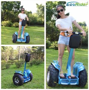 China CE 2 Wheel Self Balancing Electric Vehicle 250Kpa With Anti - Theft Lock factory