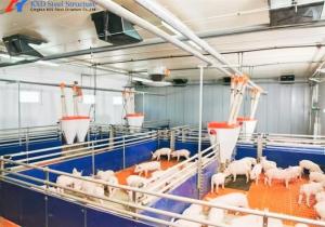 China Prefabricated Steel Frame Piggery House , Steel Structure Hog Shed factory