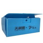 OEM factory produce PP plastic corrugated box for fresh sweet corn broccoli