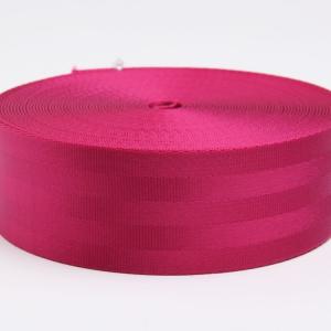 China Water Resistance Yes 300-1680D PP WEBBING for Durable Products factory
