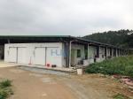 Vegetable/Fruit/Meat/Shrimp/Fish Walk in Storage Freezer with Condenser Units