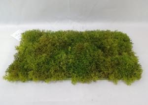 China Lifelike 25X50CM Green Faux Grass For Landscape Decoration factory