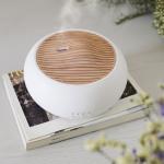 HOMEFISH USB Powered Ultrasonic Aroma Humidifier Tabletop 250ml