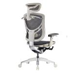 2022 GTCHAIR IVINO X High-end Mesh Swivel Office Chair with Polished Aluminum