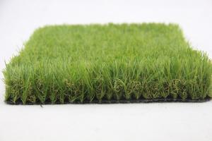 China Garden Artificial Carpet Grass Roll 25mm Natural Color factory