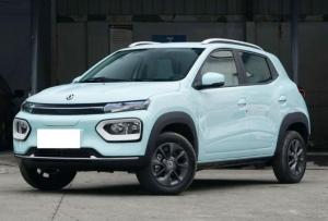China Dongfeng Ev New Energy Nano Box Engine Capacity 2.0L Fuel Type factory