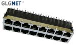 16 Ports Magnetic Rj45 Jacks 10 100 1000 Base T 0.2 mm Thickness With Brass