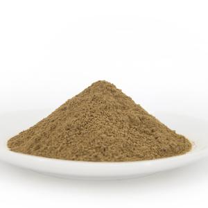 China Anti Aging Ginkgo Biloba Leaf Powder 24% Ginkgo Biloba Flavonoids on sale