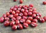 ISO Natural Agricultural Products Small Red Bean 24 Months Shelf Life For Food
