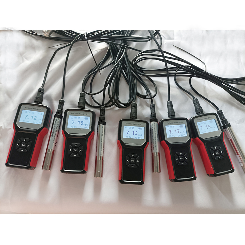 Portable Dissolved Oxygen Meter with RS485