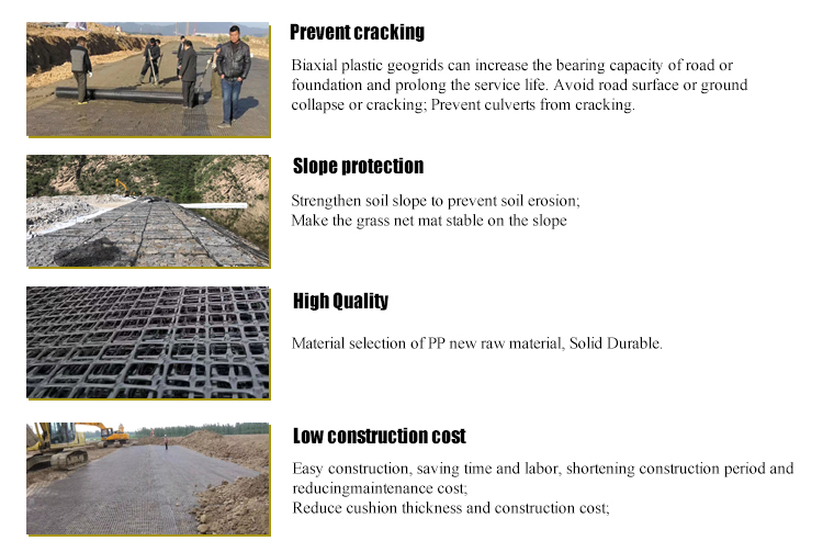 Protect Your Roof with Biaxial Plastic Polypropylene Geogrid Preventing Soil Erosion