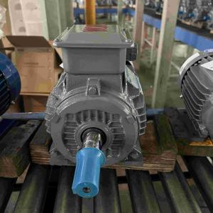 China Cast Aluminum Frequency Conversion High Efficiency Electric Motor factory