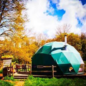 China Hemispherical Hotel Living Geodesic Dome Tent For Outdoor Camping factory