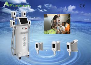 China Best selling coolplas freeze fat slimming beauty equipment kryolipolysis with 4 handles factory