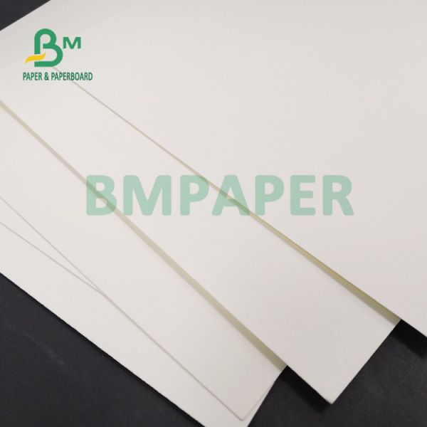 100% Wood Pulp 210g + 15g PE Coated Paper For Drinking Cups 720mm 880mm