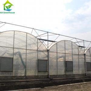 China Large Clear Plastic Sheeting Greenhouse 4m-7.5m Height Galvanized Steel Greenhouse on sale