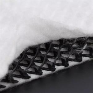 China Black White Three Dimensional Composite Drainage Network Geonet Hdpe 5 Mm Drainage Mat Nonwoven Fabric factory