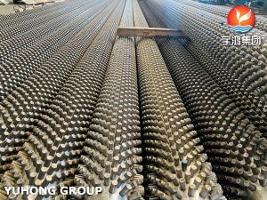 China Stainless Steel Seamless Pipe ASTM A312 TP317L with 11Cr Studded Tube , Fired Heater and Furnace Application factory