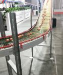 Steel Chicken Layer Cages A Type H Type Automated Battery Cage
