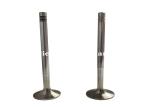 VOLV TD70 71 40Cr Intake Exhaust Valves Active ISO9001 CertifiCatere