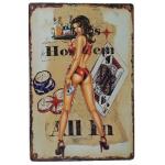 20*30cm Cafe Club Decor European And American Retro Metal Paintings, Hanging