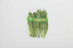Organic Fruit Vegetable OPP Packaging Bag Flat Mouth Food Grade