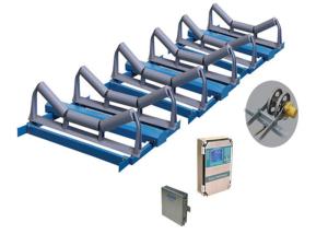 China High Precision 5000tph 1000mm Conveyor Belt Weigher factory