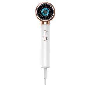 China Powerful Portable Household Fast Drying White OEM ODM Negative Ion Hair Dryer factory