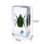 150g Early Education Resin Craftwork For Children Model Toy
