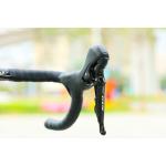 Race Roadbike Cycle with Disc Brake and Carbon Fibre Fork OEM 21 Speed MTB