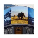 High Refresh Outdoor Fixed LED Display , Commercial HD Large LED Advertising
