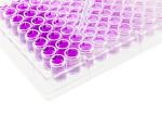 Polystyrene 96 Well Cell Culture Plate For Experimental Research