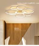 Circular Buckler Simple LED Ceiling Lightings White Color Lamps
