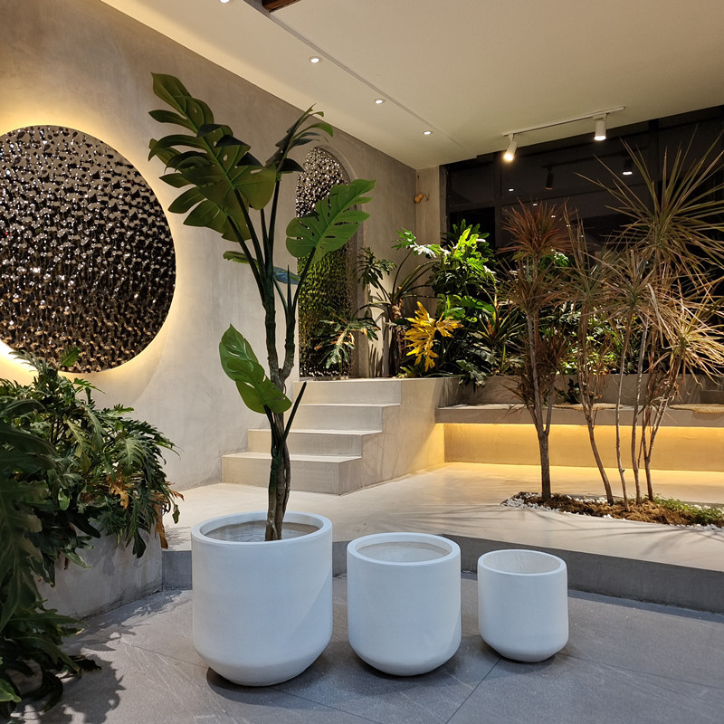Wholesale Real Plant Display With Fiber Clay Planters Decoration