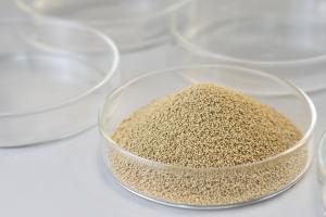 China Lipase Immobilized Enzyme With High Environmental Friendliness High Reusability factory