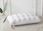 40S Anti Bacteria White Goose Down Pillow