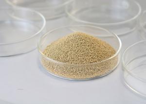 China Immobilized Lipase Granule Industrial Enzyme With Good Stability factory