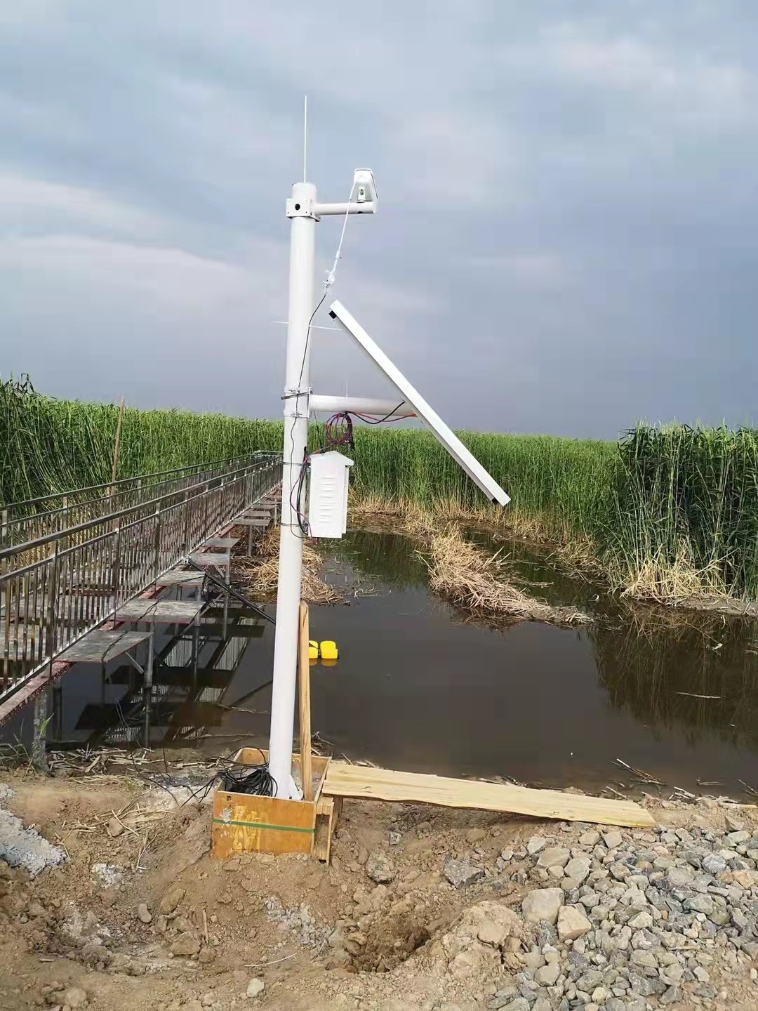 Aquaculture Multifunction Water Quality Monitor System With Smart Wireless Iot Sensor