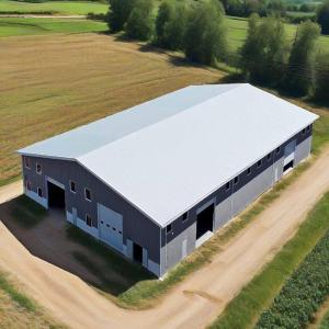 China Industrial Metal Steel Structure Warehouse Prefab Factory Logistics Building factory