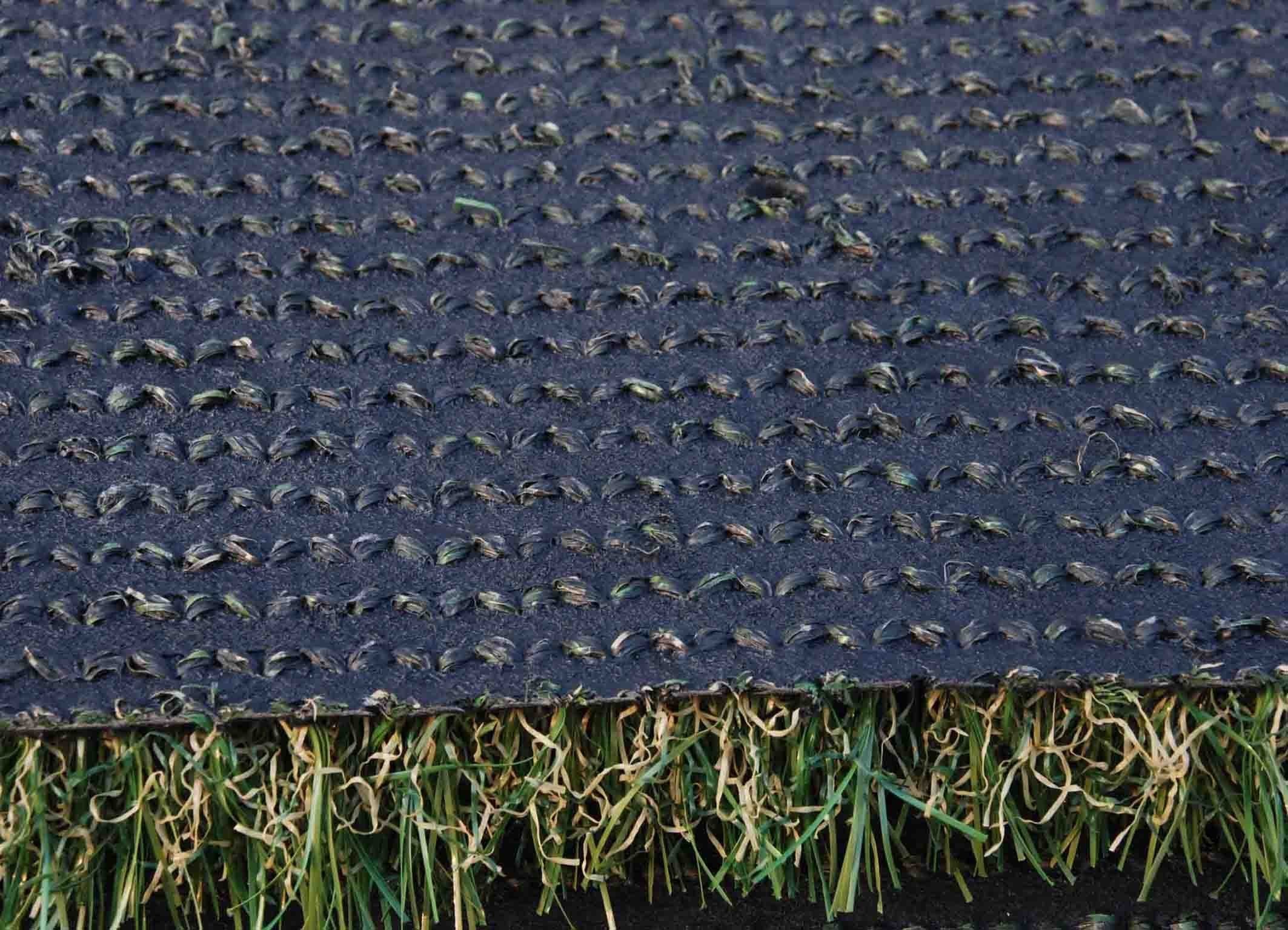 PE Artificial Leisure Turf Dtex 16200 For Pet Areas and Sports Fields With Gauge 3/8'' and High Density