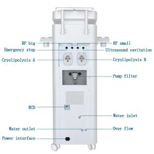 China Big sale! My favorite cryolipolysis body slimming beauty machine for clinic factory