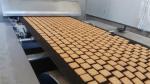 Automatic Industrial Soft And Hard Biscuit Production Line CE Approved