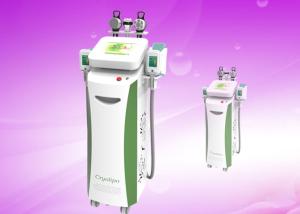 China Lipo Waist Beauty Cryolipolysis Slimming Machine Safe Pulse Work Model factory