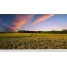 Buy cheap 21.5 Inch Ips Lcd Display 1920x1080 With Lvds Interface 30 Pins MV215FHM-N70 from wholesalers