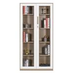 Glass Door Lockable Filing Cabinets